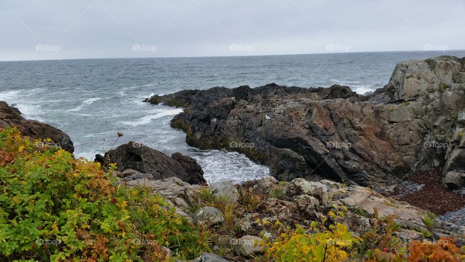 Rocky Coast of Maine