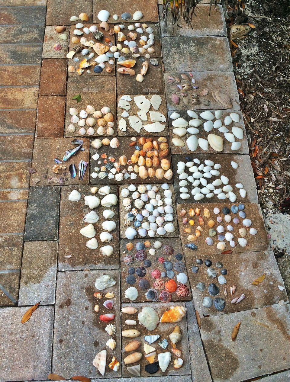 Collection of memories