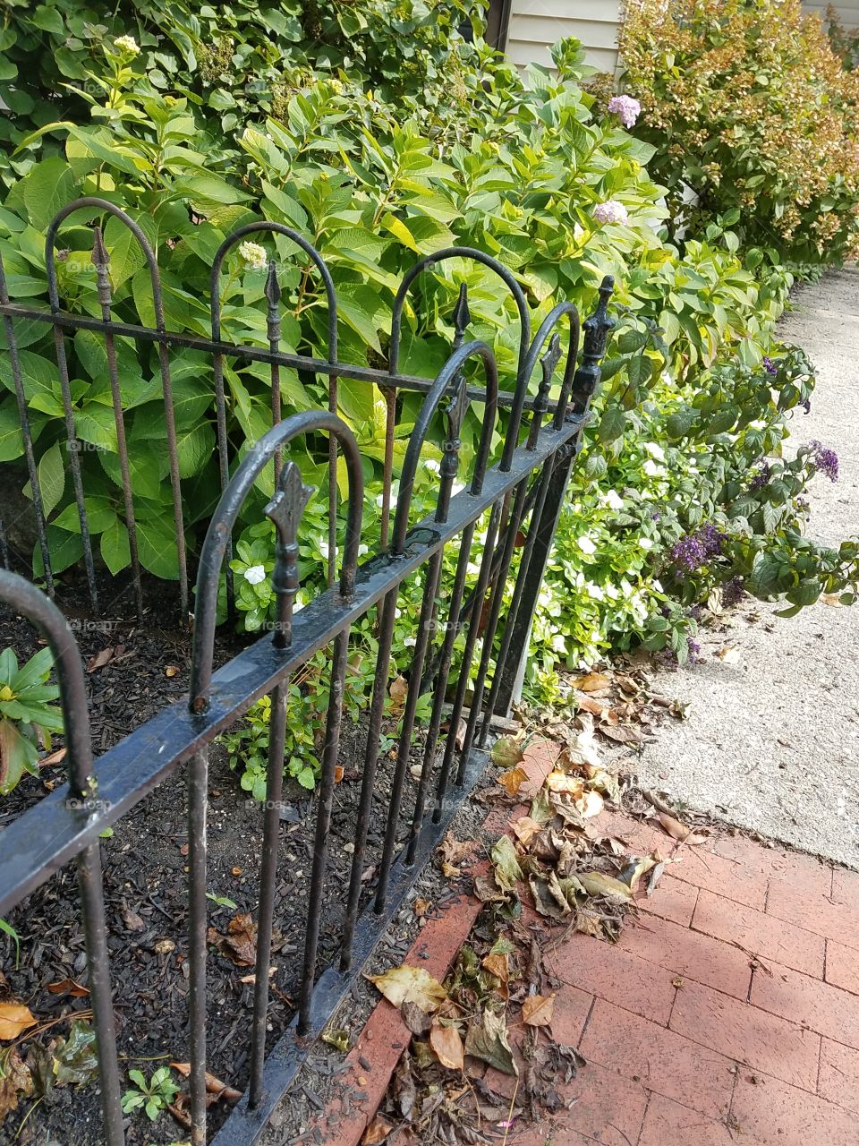 historical wrought iron fence