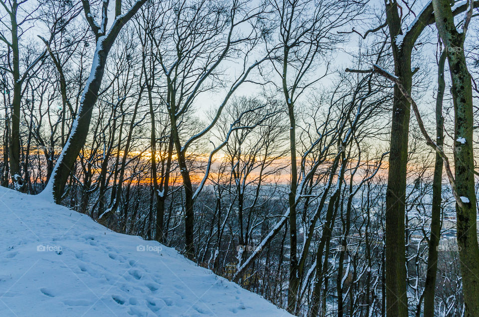 Nature landscape during sunset