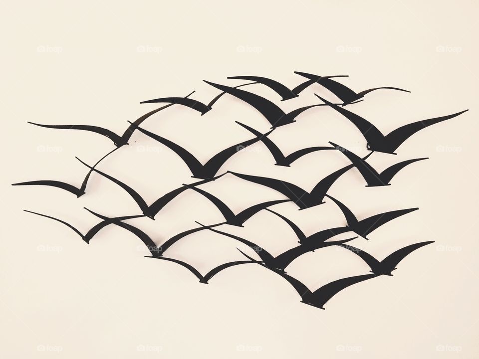 Flock of brids on white background