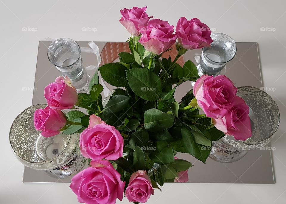 Pink roses
