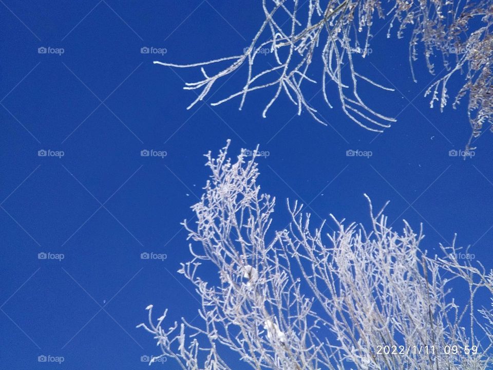 Drass the second coldest place in world temperature -45