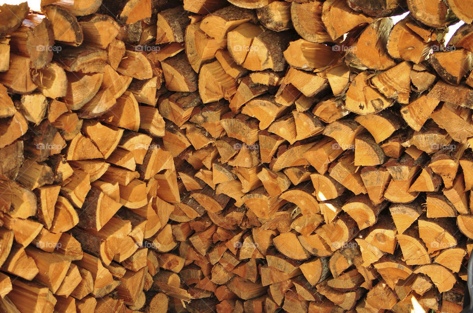 wood forest timber pile by hkjohan