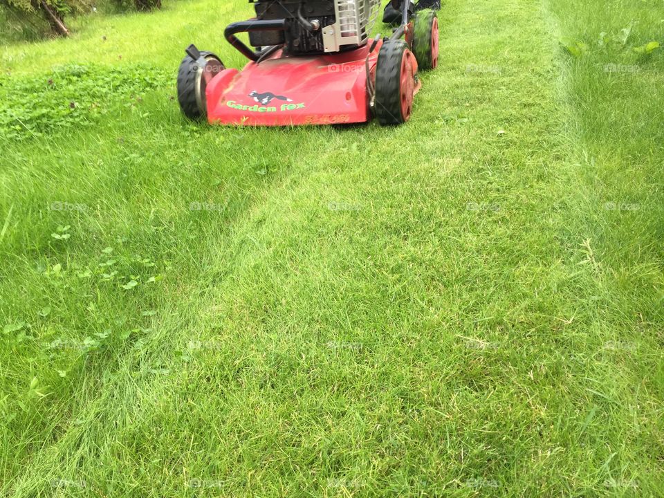 Mowing the lawn