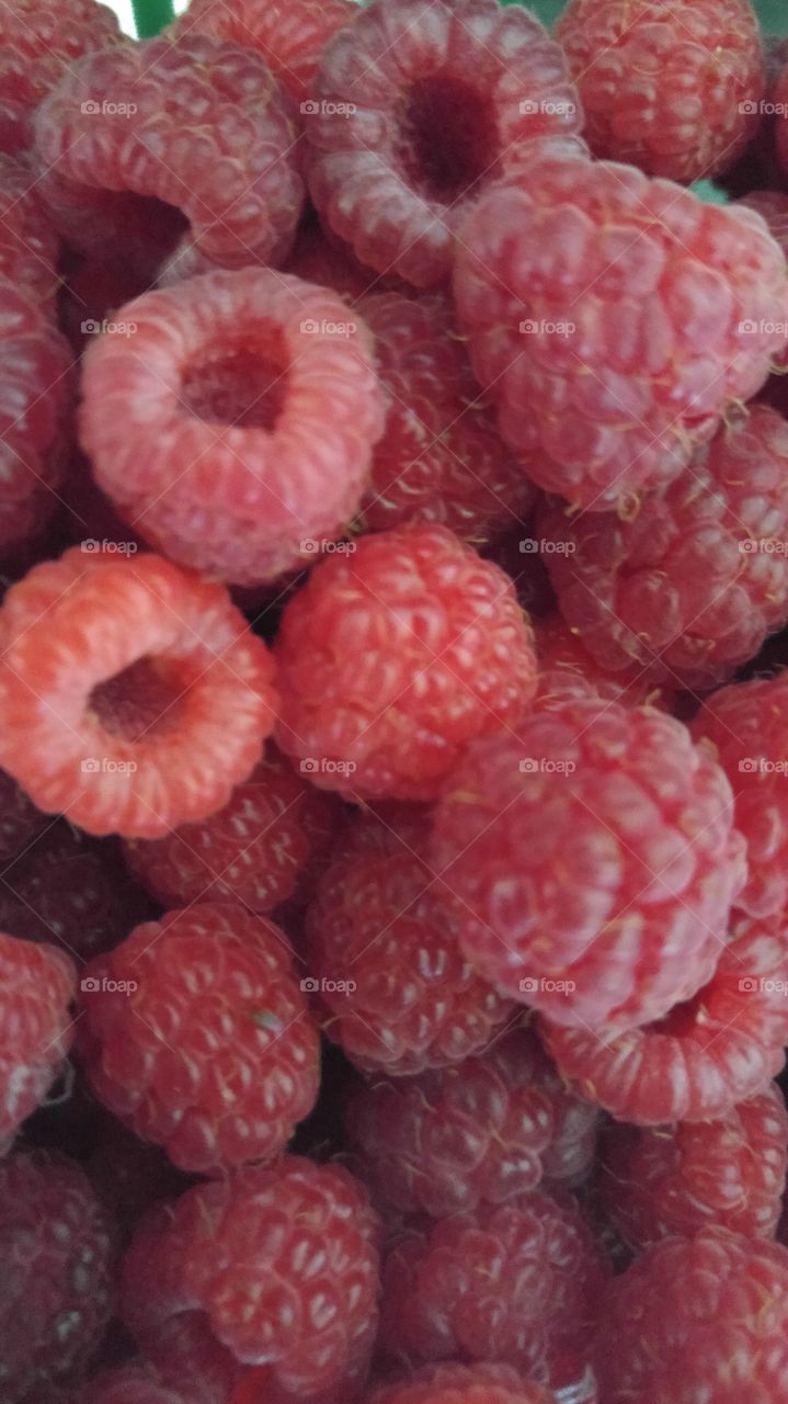 Berries.