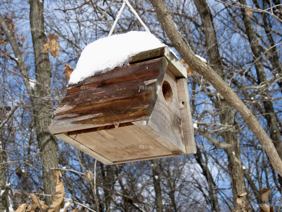 Snow capped bird house