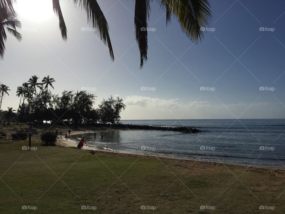 Beach. Taken on vacation in Kauai 