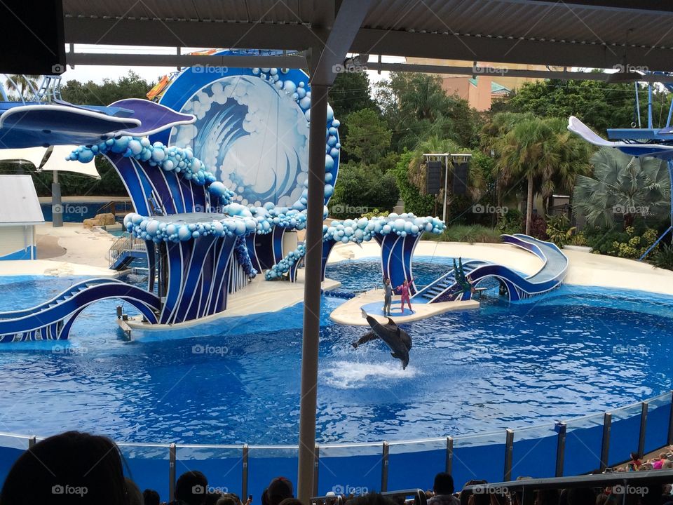 Sea world