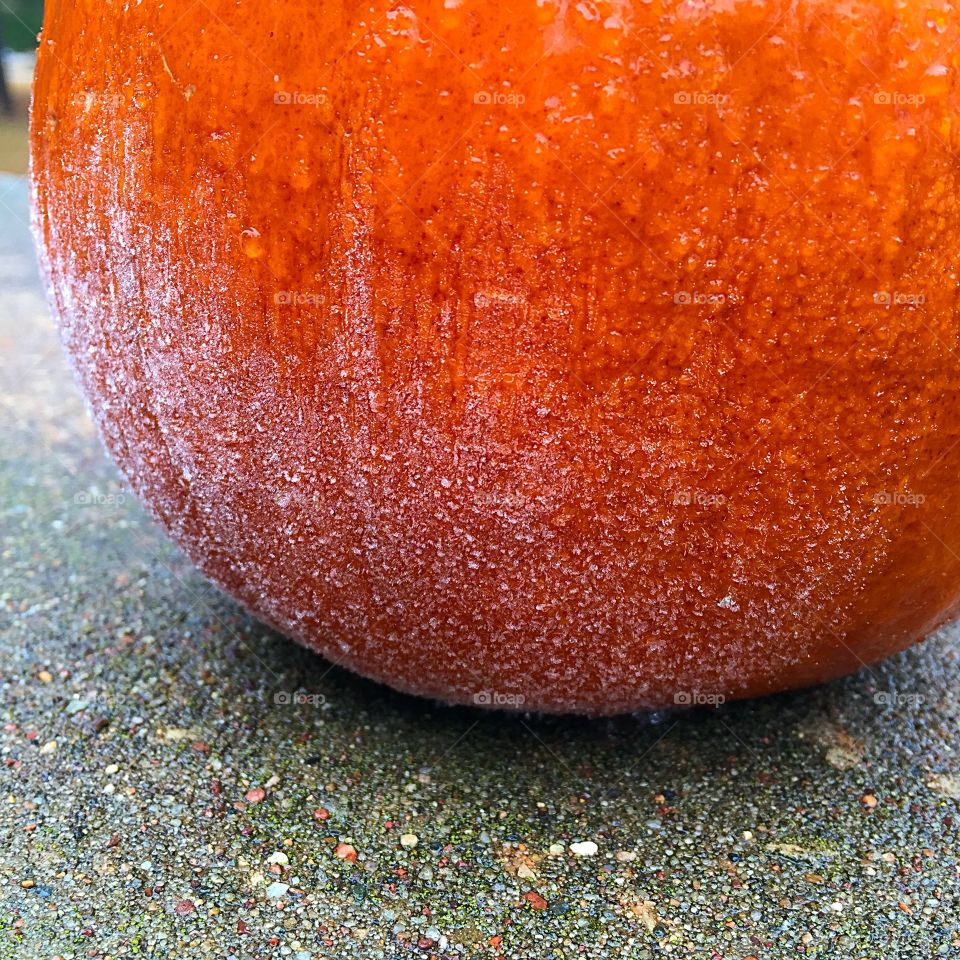 Pumpkin Frost