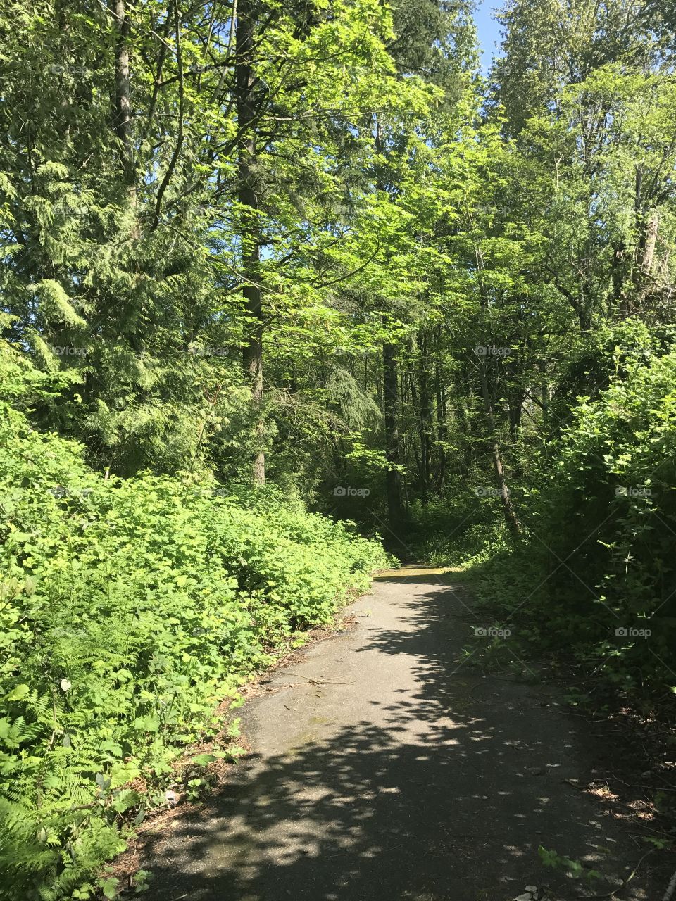 This is a beautiful path for a stroll at any time.