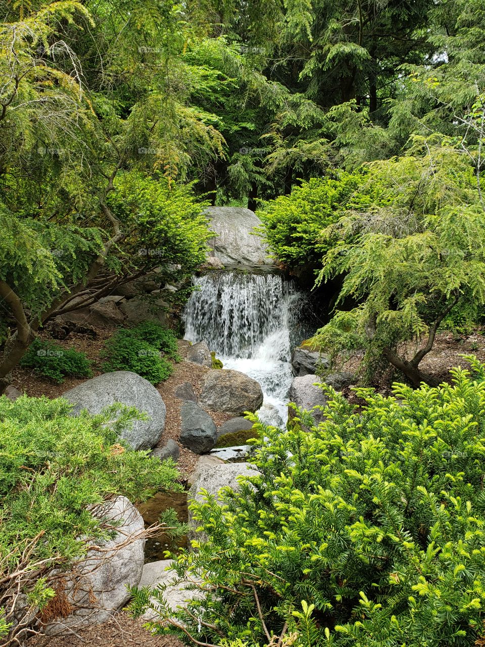 Whiting Forest Waterfall