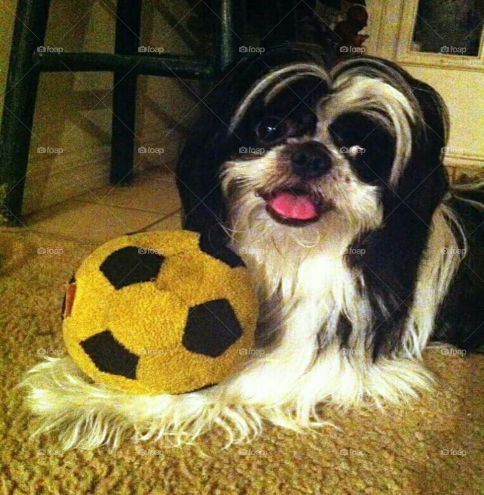 My boy loves to play soccer.
