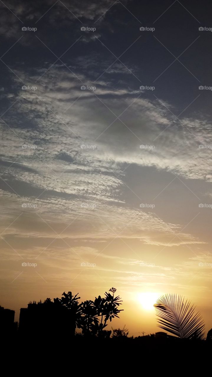 Perfect Sunset. you can make it your mobile screen background.