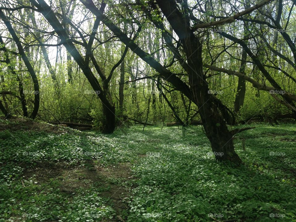 Warsaw parks