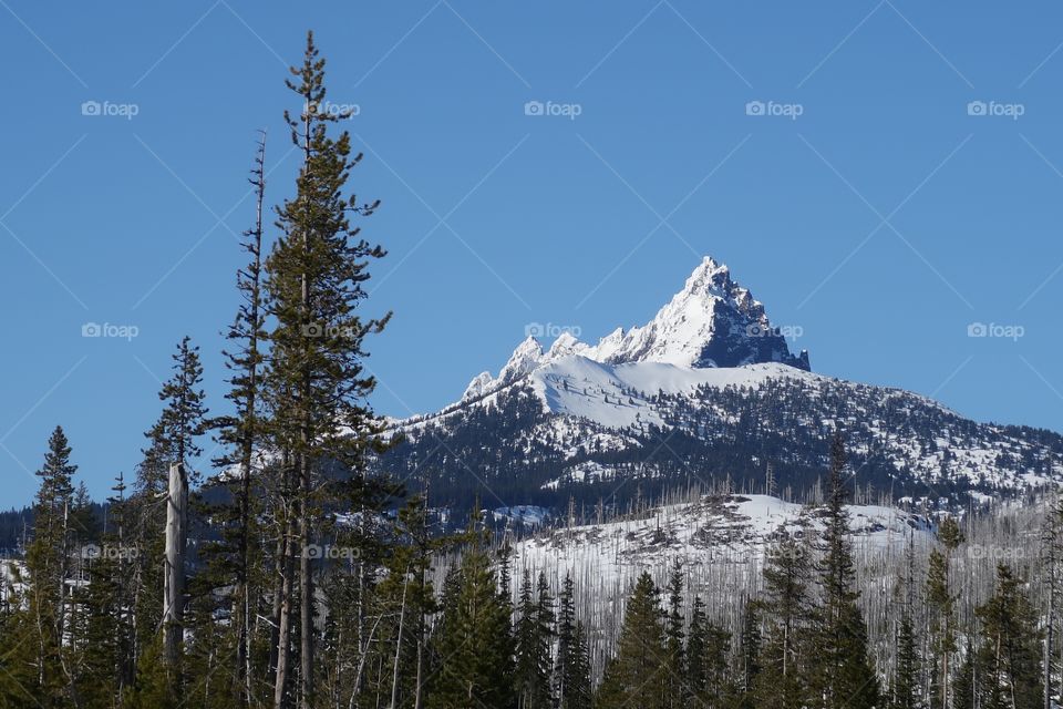 The magnificent snow covered Three Fingered Jack in Oregon’s Cascade Mountain Range against a clear blue sky on a beautiful spring day. 