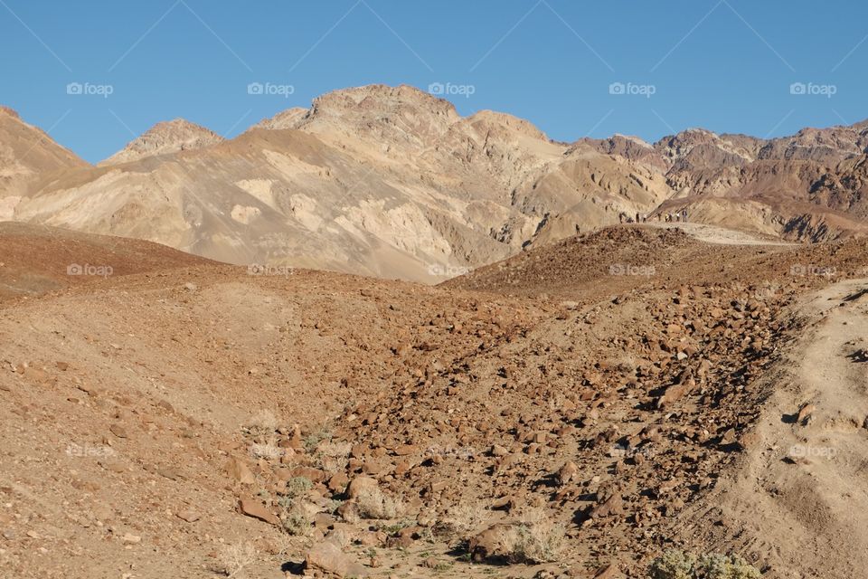 Golden colored hills in a desert