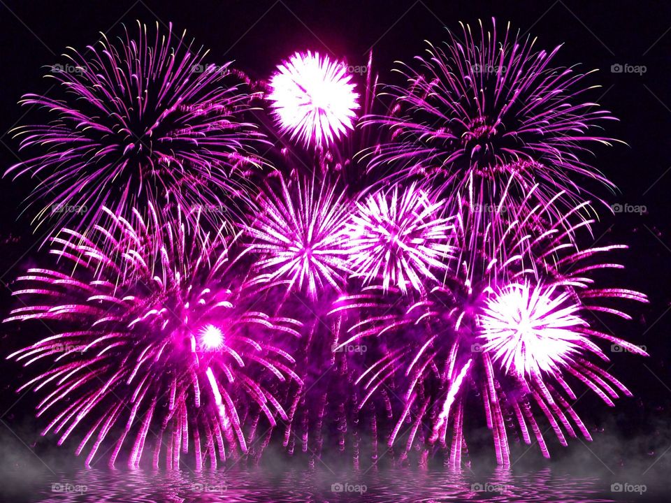 Spectacular pink fireworks . Spectacular pink fireworks