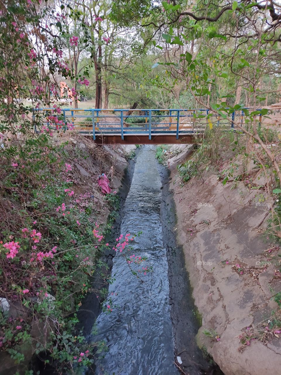 There is a beautiful drain.