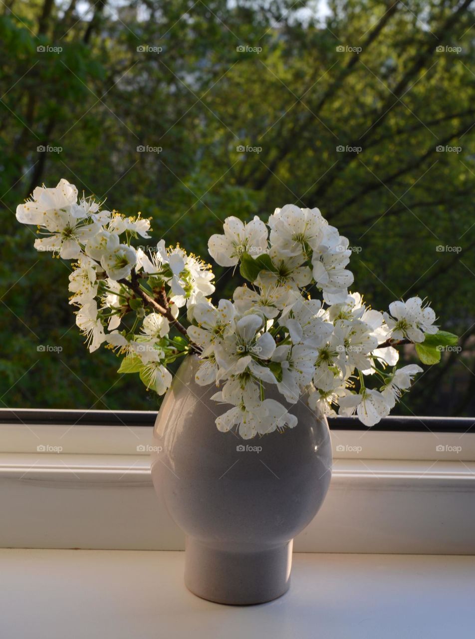 spring time flowers in vase