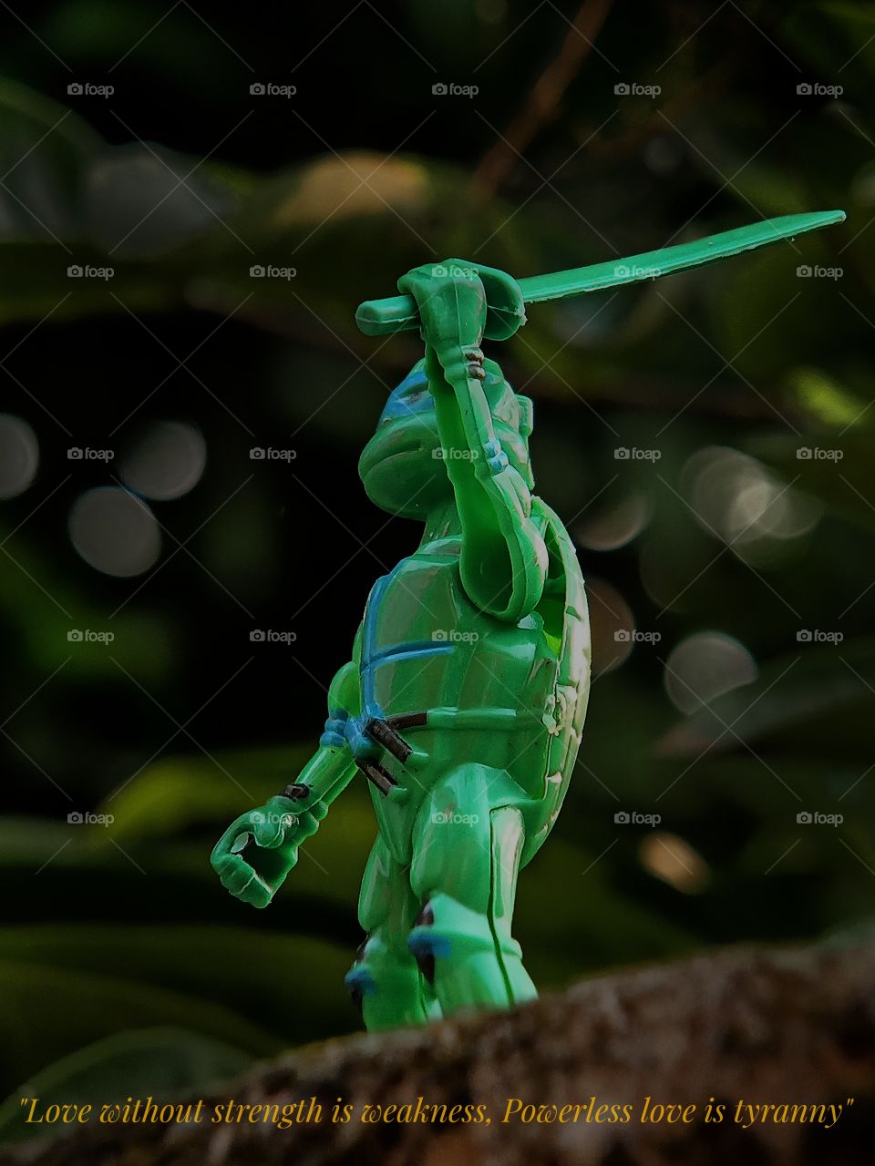 Photo of action figure "Ninja Turtle” & Shorinji kempo quotes