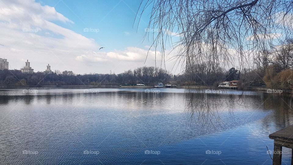 Lacul Herastrau,happiness ,love ,happy ,life ,motivation, smile ,inspiration ,photography ,follow ,success ,like ,photooftheday ,picoftheday ,nature ,peace ,beauty ,lifestyle ,beautiful ,family , ,travel ,positivevibes ,me ,goodvibes ,goals ,health,