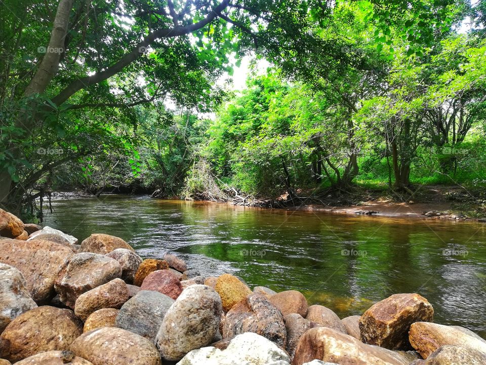 the nature is always beautiful it was can't recreation of power