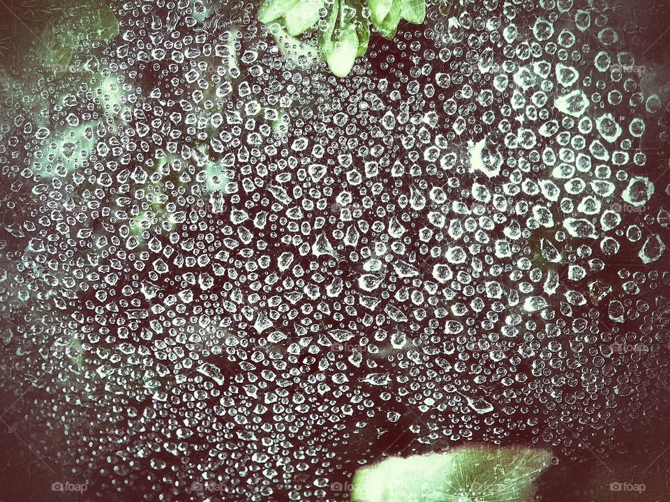 Dewy web. Raindrops on spiders web