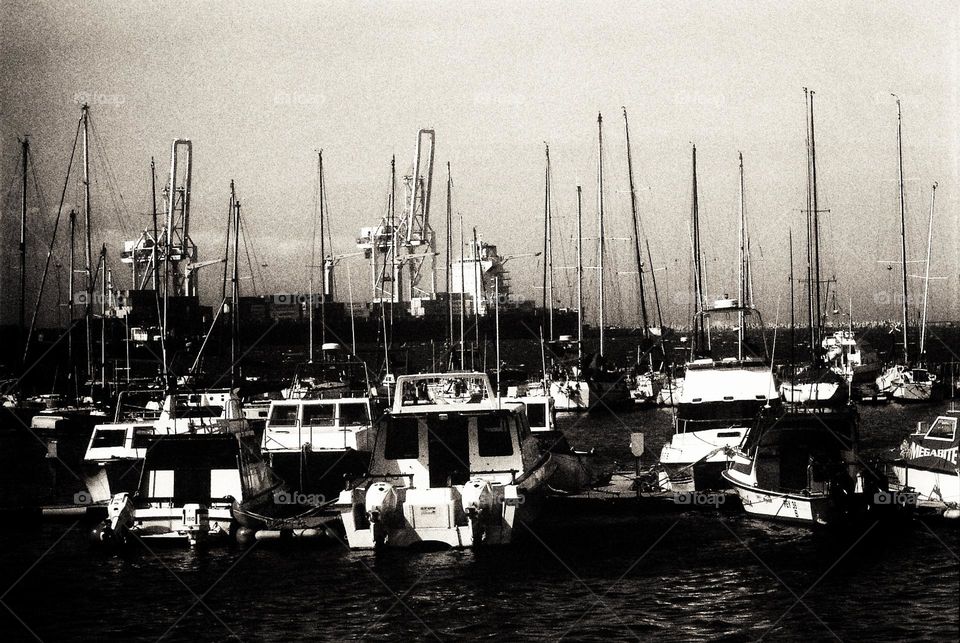 fishing boats and masts.noir