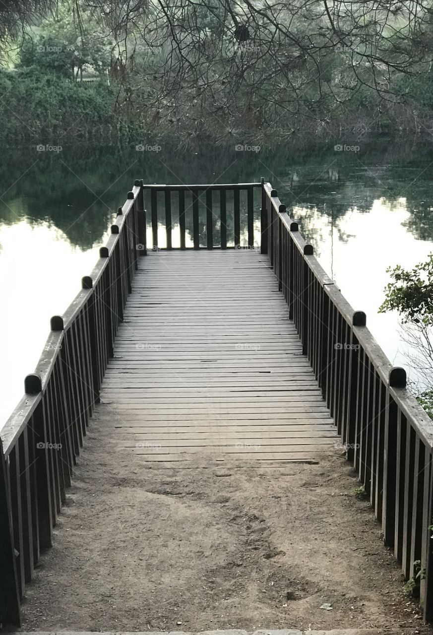 Lonely bridge 