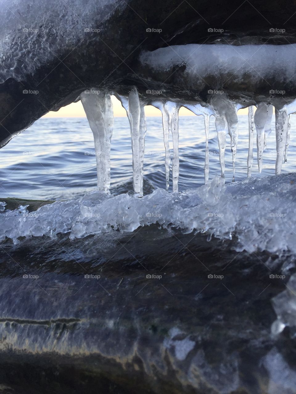 Icicles on a washed up log with smooth waves in the back