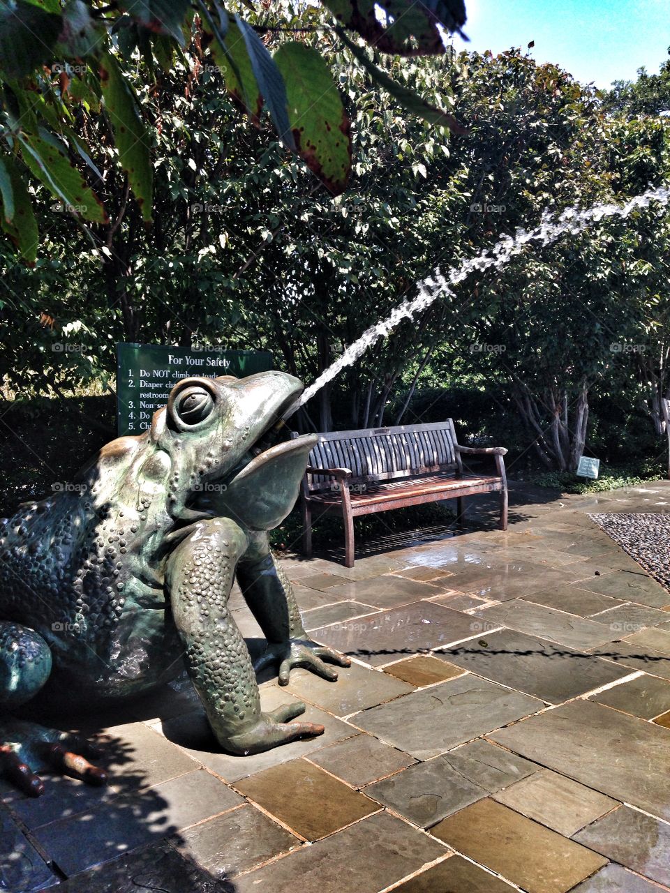 A place to stay cool. Frog water fountain