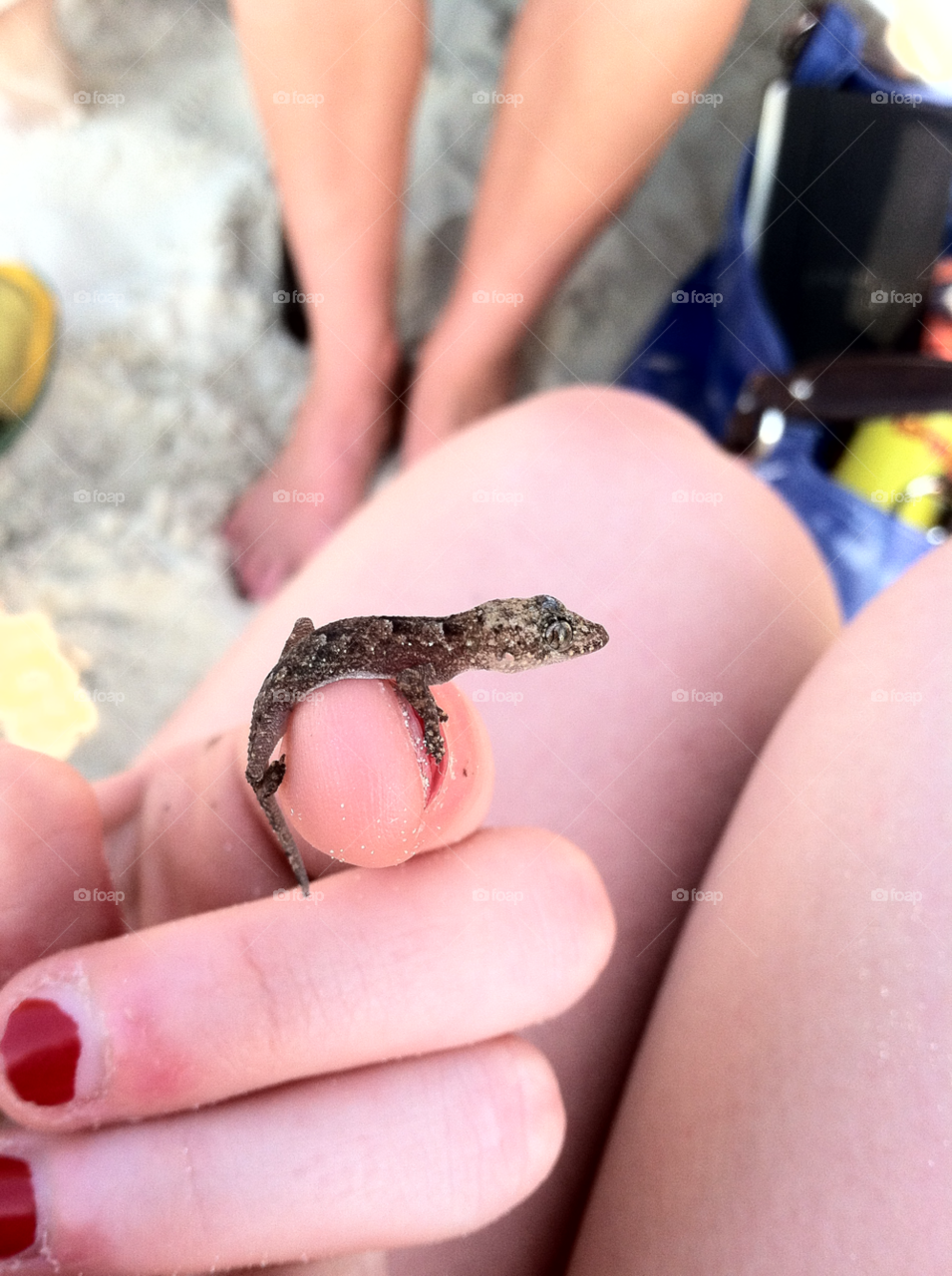 vacation lizard small jamaica by cordsxoxo