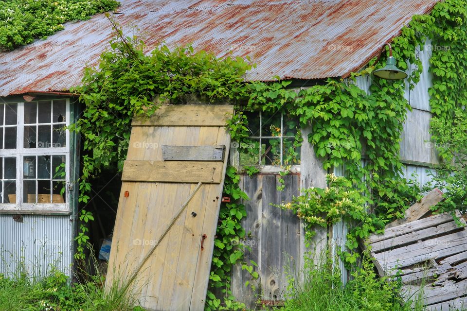 old abandoned garden shed