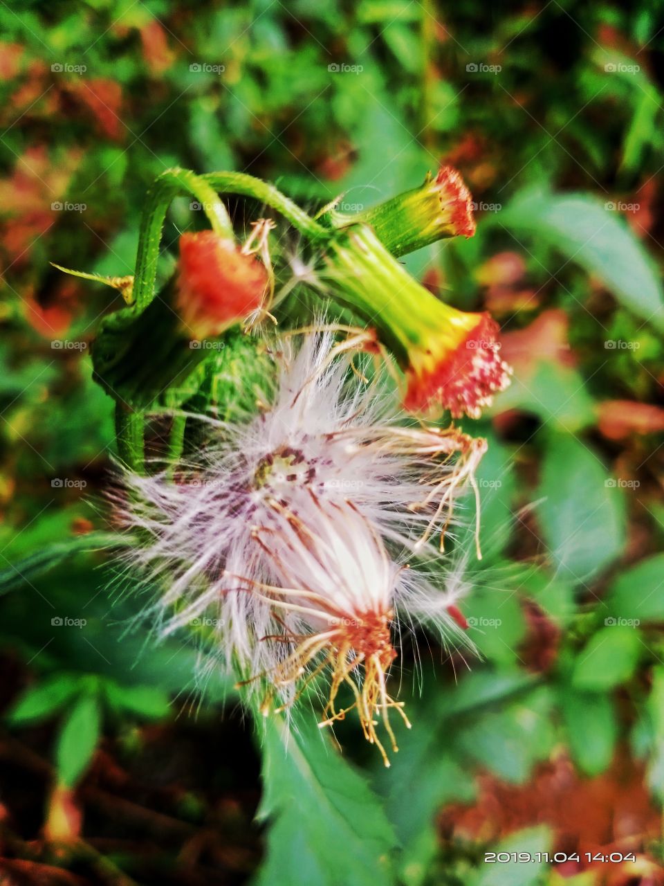 so close to fly away.