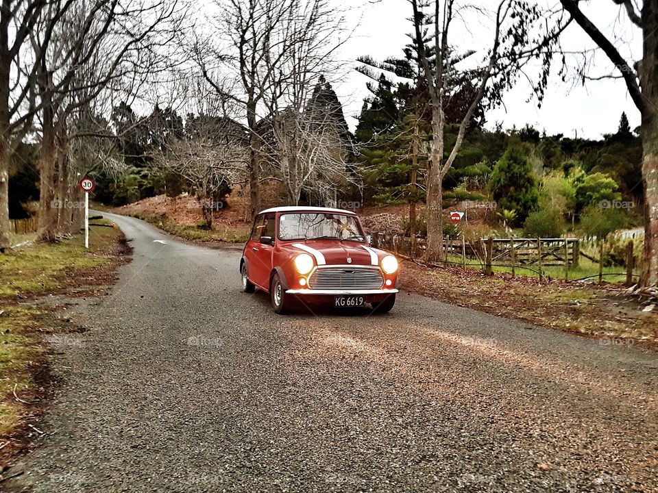 Austin Mini at the park