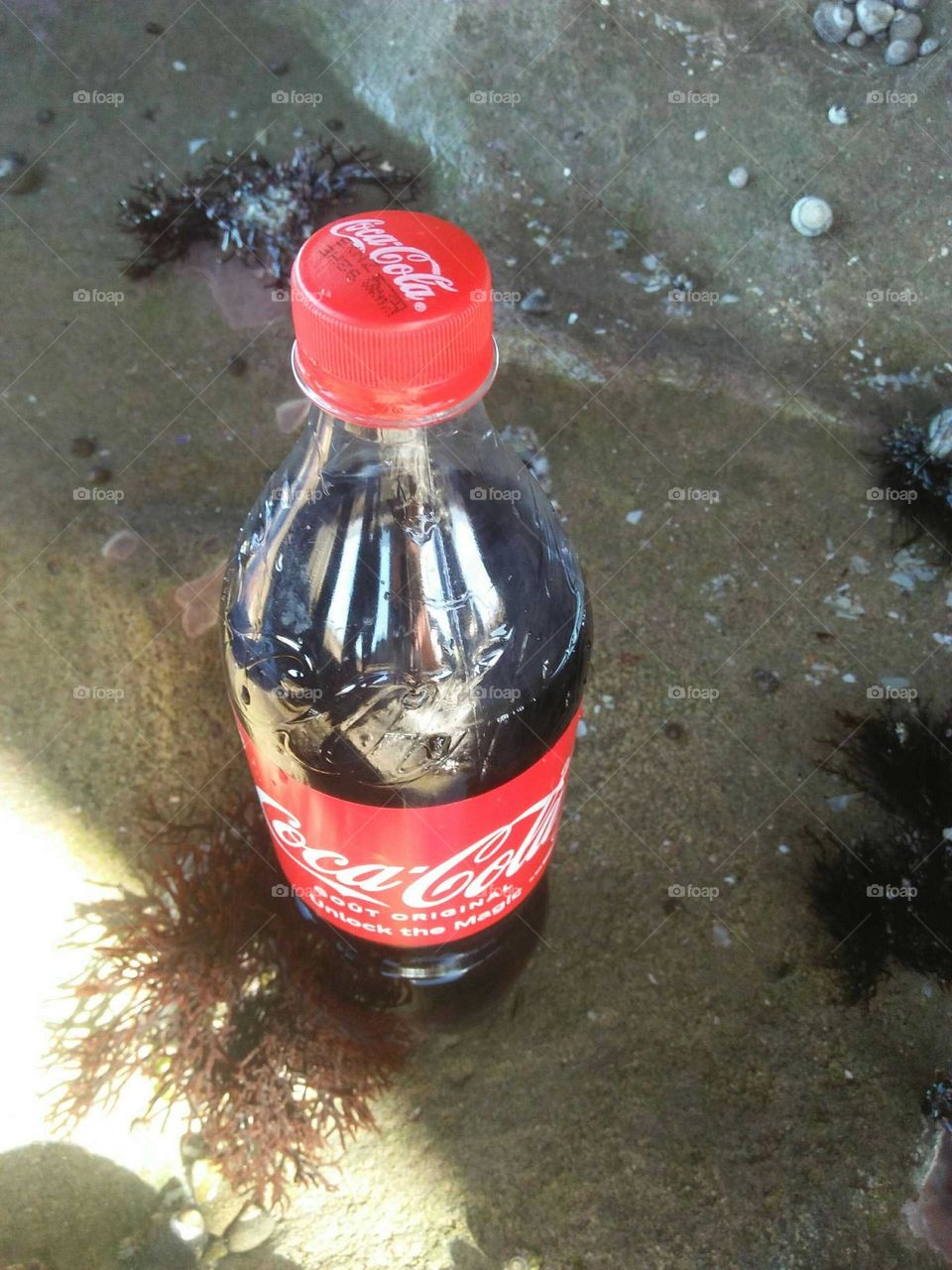 delicious bottle of fresh coca cola.