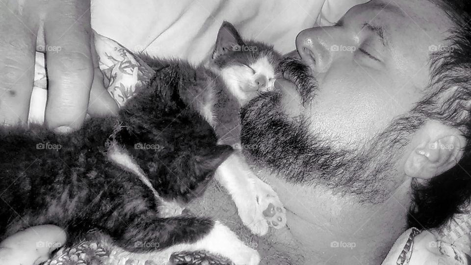 man and 2 kittens sleeping