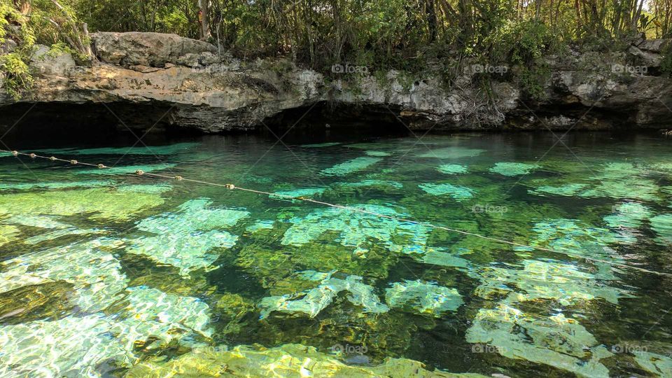 Cenote Azul in Playa del Carmen, Mexico