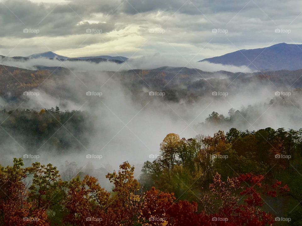 Most and fog over smoky mountains 