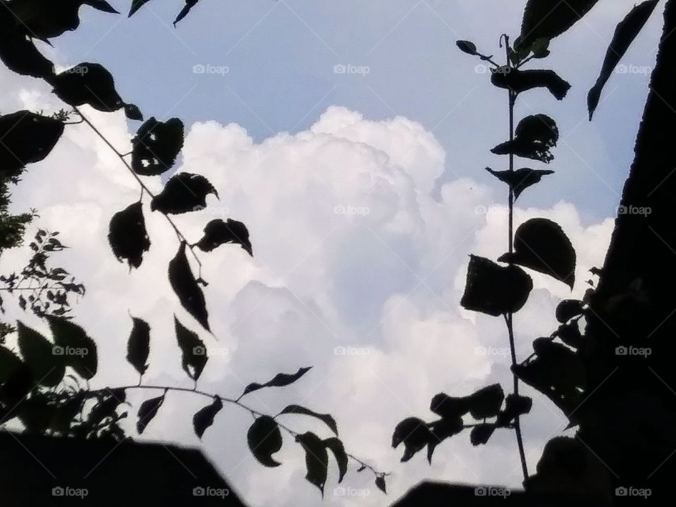 storm forming on the horizon
