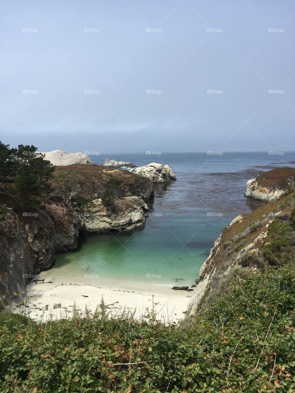 Point Lobos View 4