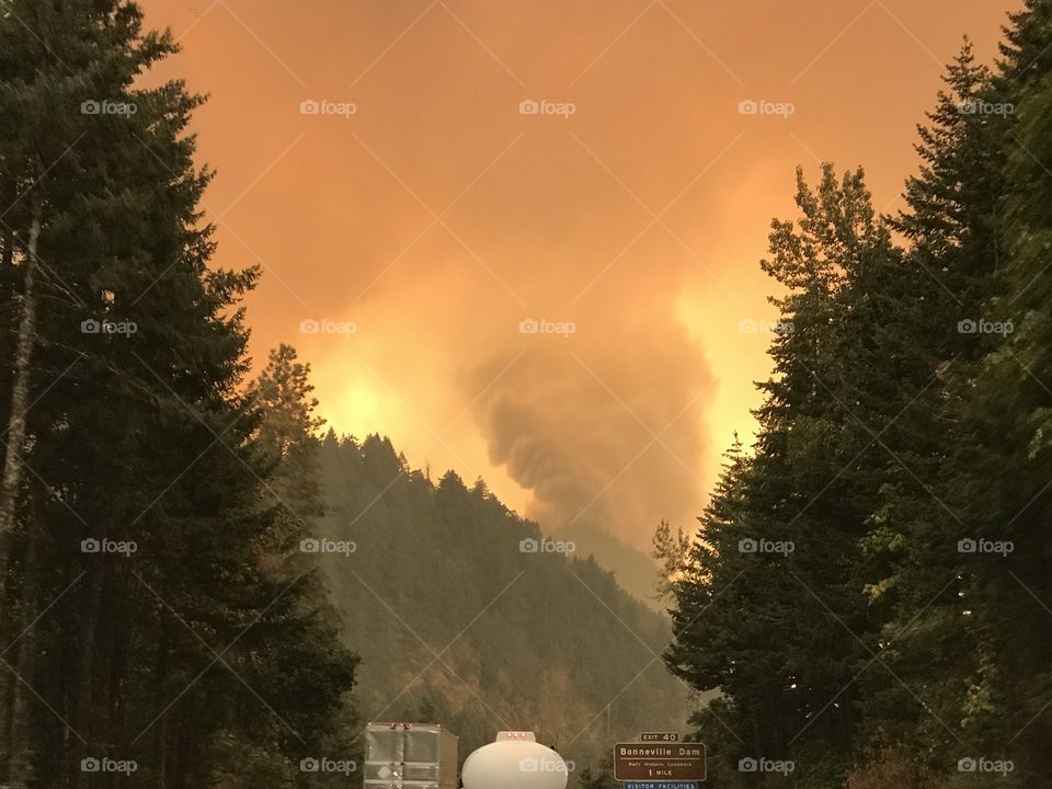 Eagle Creek Fire 