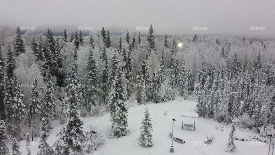 Alaska winter