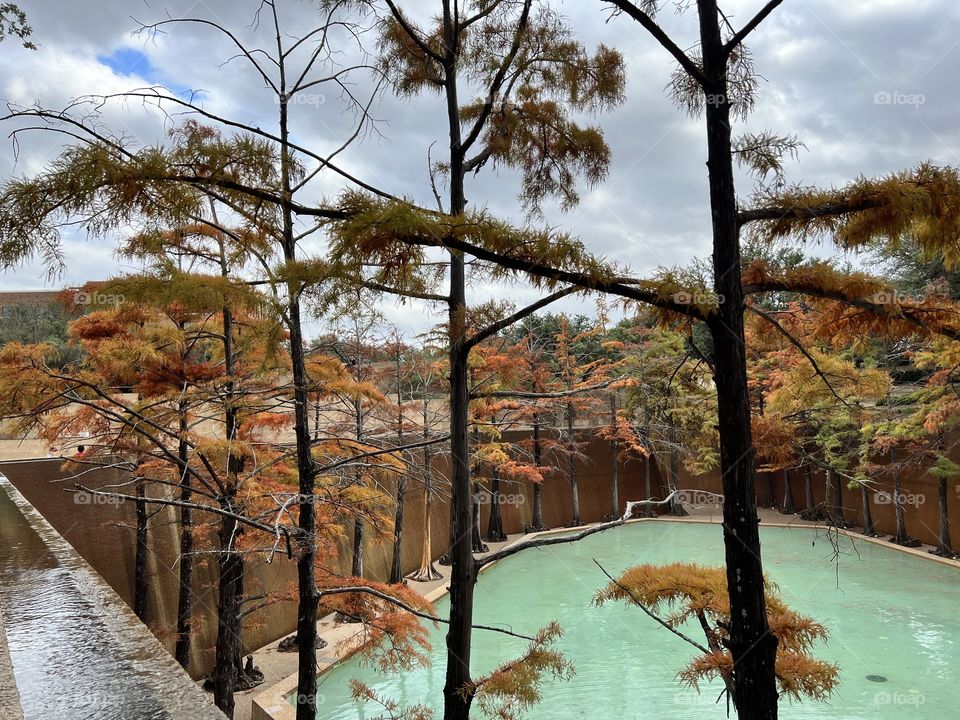 Downtown Ft. Worth, TX. 