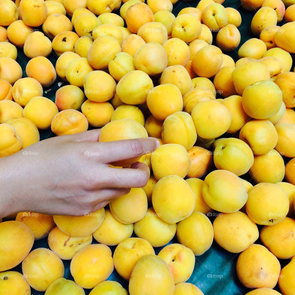 Apricot. Market 