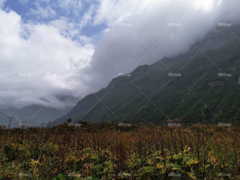 Mountains grass ground outside outdoor beauty nature view eco focus day part sun sunny travel Light wild sky clouds moody plant green fog foggy milky trip traveling
