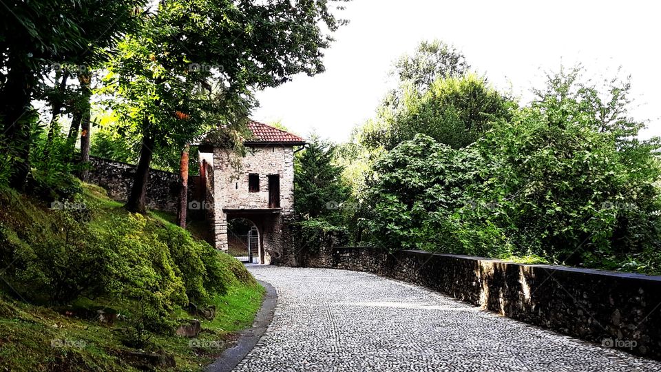 Collecting Memories dhanssen