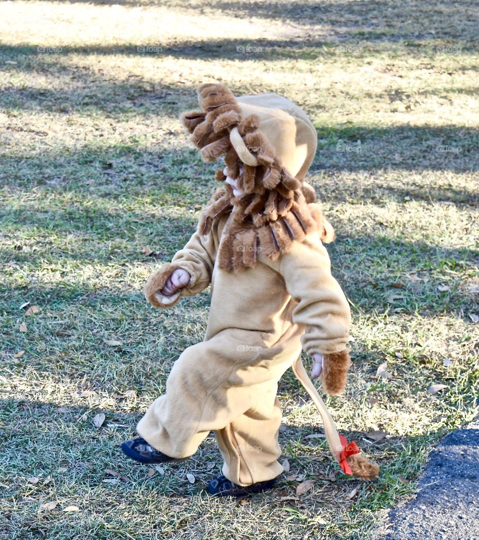 Off to see the Wizard