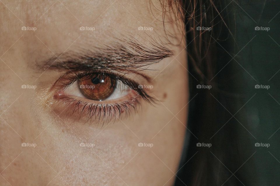 Close-up of human eye